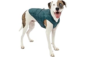 Loft Dog Jacket: Durable Winter Coat for Large Dogs by Carhartt