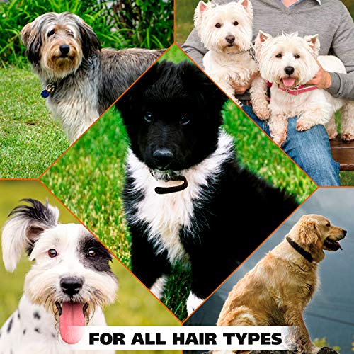 image for Wahl USA Deodorizing & Refreshing Pet Deodorant for Dogs - Eucalyptus 