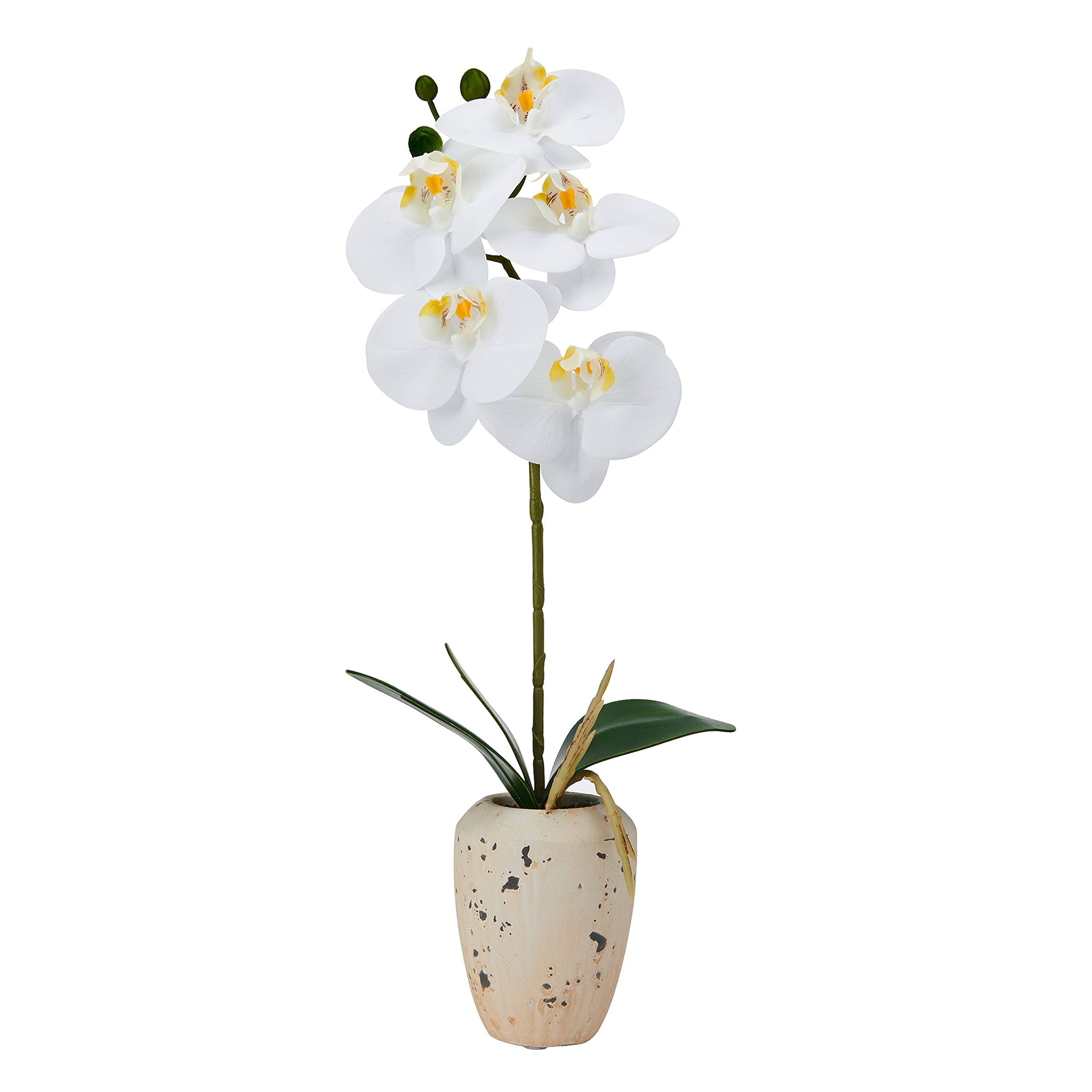 Mikasa Artificial Orchid in Pot, Real Touch Phalaenopsis Orchid, Faux Aged Cement Pot, 16-Inch Single Branch, White/Yellow