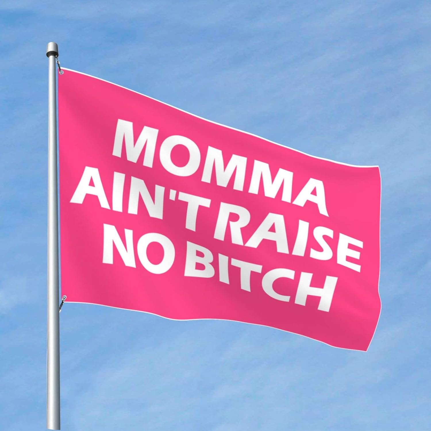 COTECI Things For Boys Room Momma Ain'T Raise No Flag Patio Bar Accessories Room Decor Flags (Size : 152X244CM)
