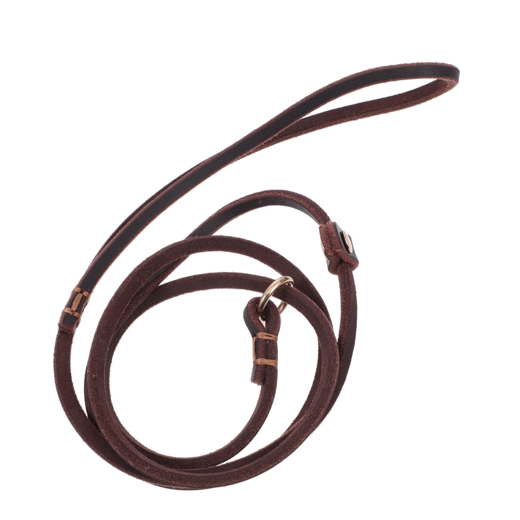 Laisse chien cuir corde de traction anti-traction pour soulager vos mains en balade