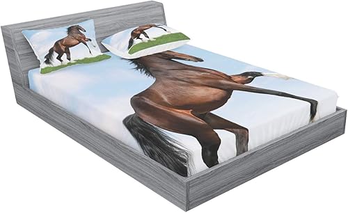 Miniatura 234 de Ambesonne Juego de sábanas bajeras y fundas de almohada con diseño de gato durmiendo en luna creciente, estrellas, sueños nocturnos, juego de ropa