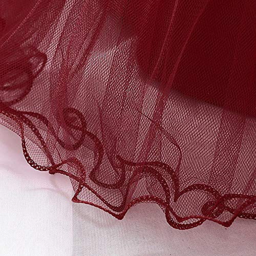 Dressy Daisy Baby Girls Wedding Flower Girl Dress Lace Pageant Gown Special Occasion Birthday Tulle Skirt Size 6-12 Months Burgundy 425 #TOP5