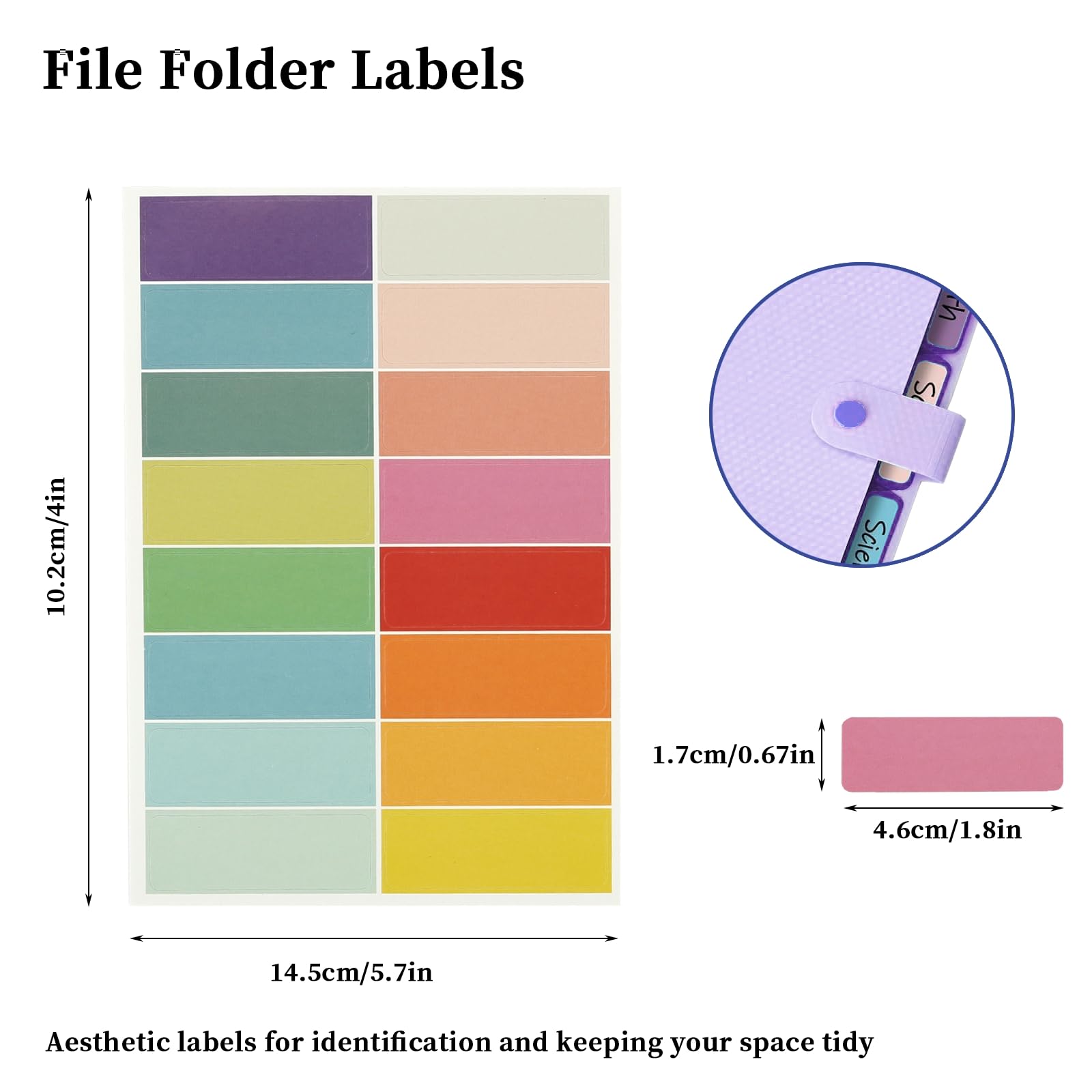 Trieur A4 avec 5 dossiers, système de classeur, organiseur de documents avec étiquettes, pour bureau, maison, école, documents (violet)