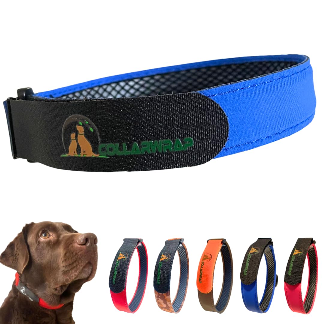 Funda Collar Antiparasitario Perros Apta para Todos los Collares Antiparasitarios para Perros - Antipulgas para Perros Pequeño y Grande - Collar Antiparasitos Perro Interno (Azul, XXL: de 53 a 56 cm)