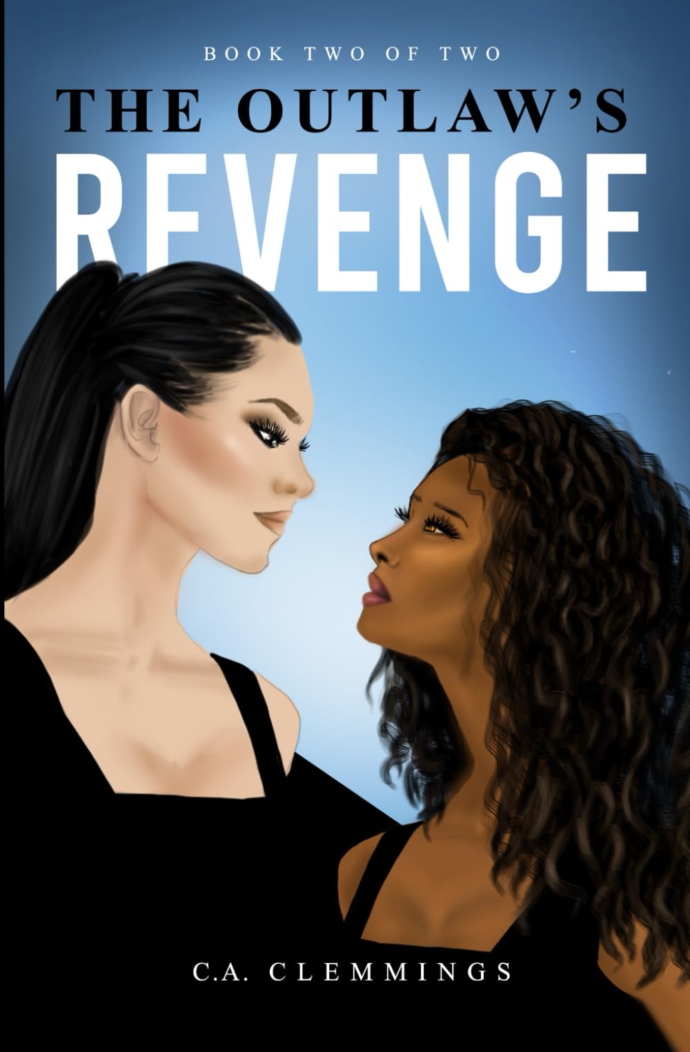 The Outlaw's Revenge (The Outlaw Series)