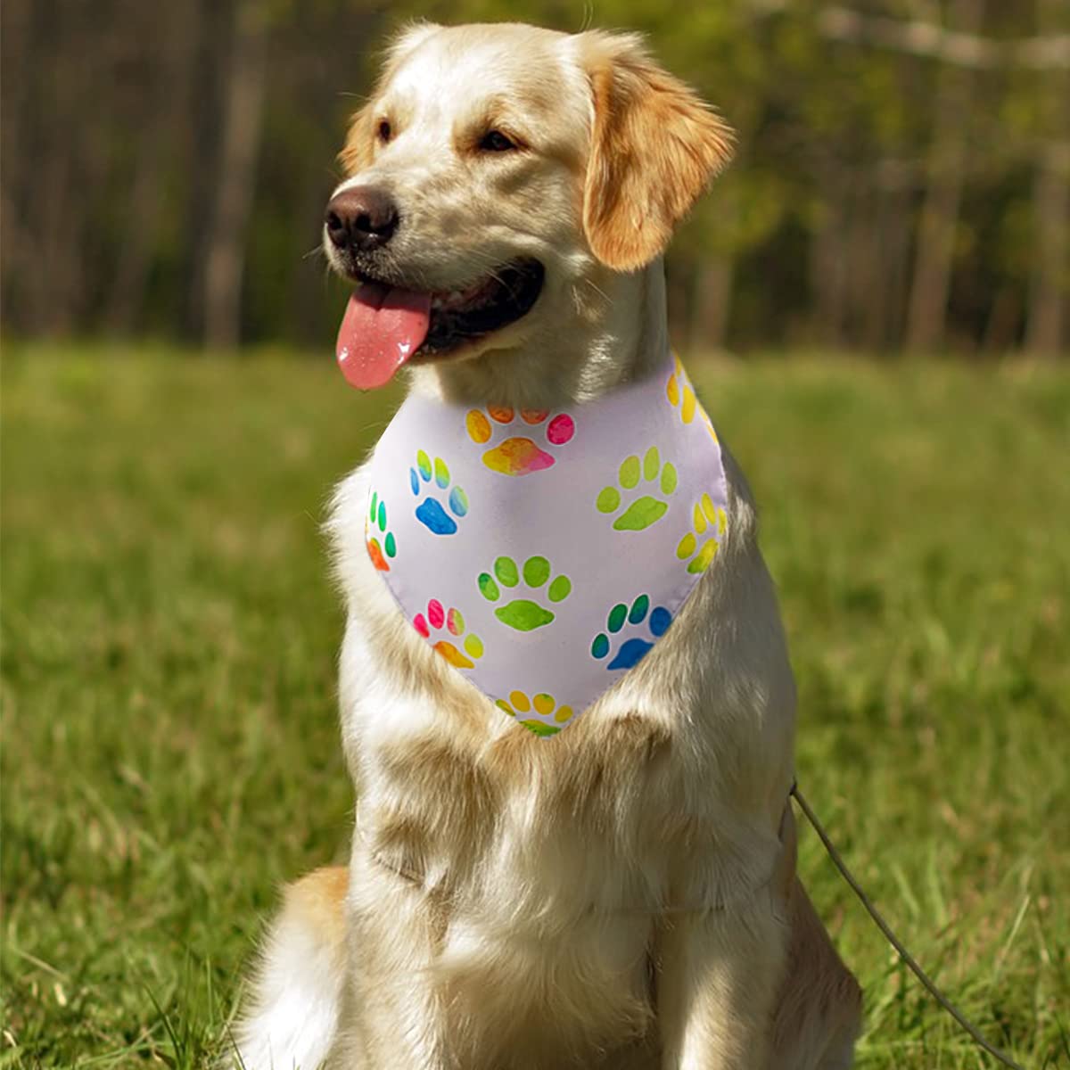 Dog Birthday Bandana Large Pai Sence 30Pcs Paw Print Extra Large