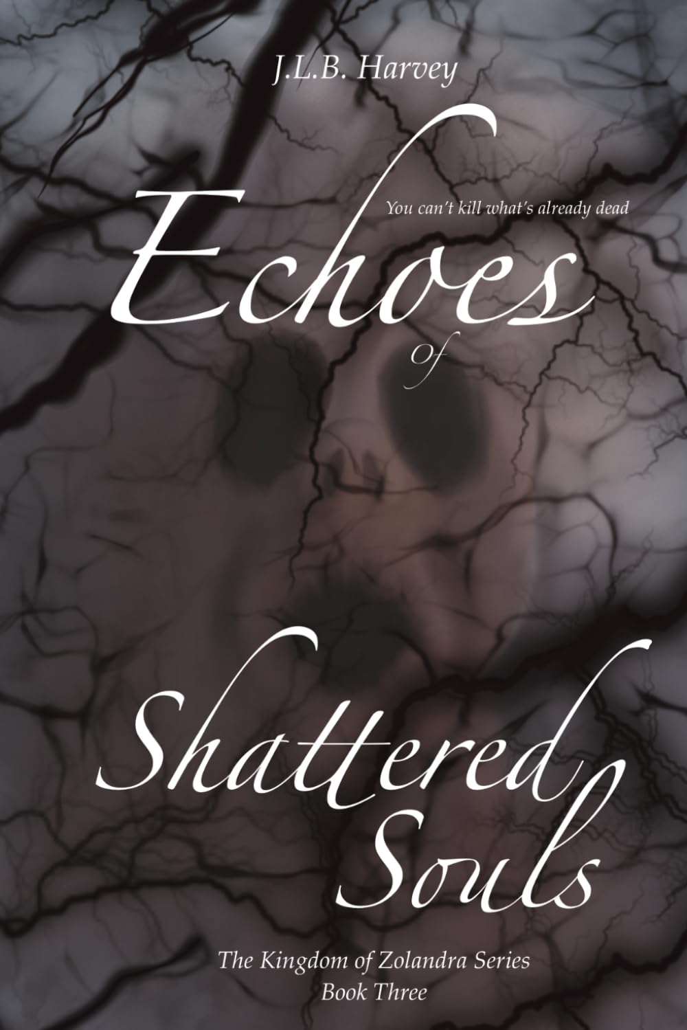 Echoes of Shattered Souls: The Kingdom of Zolandra Series. Book 3