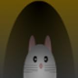 EvansDev
