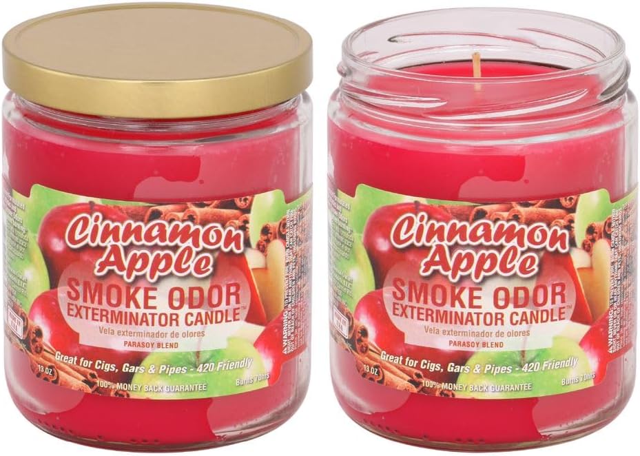 13oz Jar Candle, Cinnamon Apple - Pack of 2