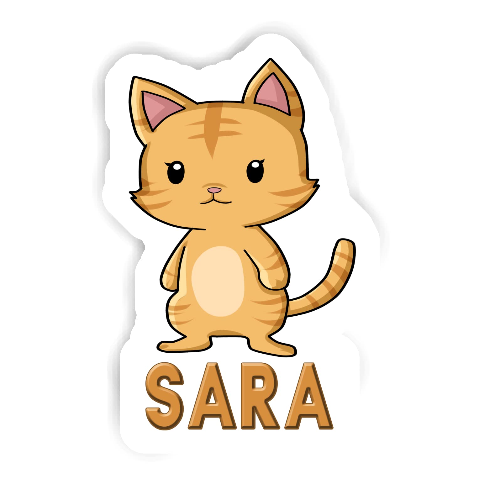 サラキャット Amazon.com: 12 calcomanías Sara Cat (2 piezas de 5.5 pulgadas, 4