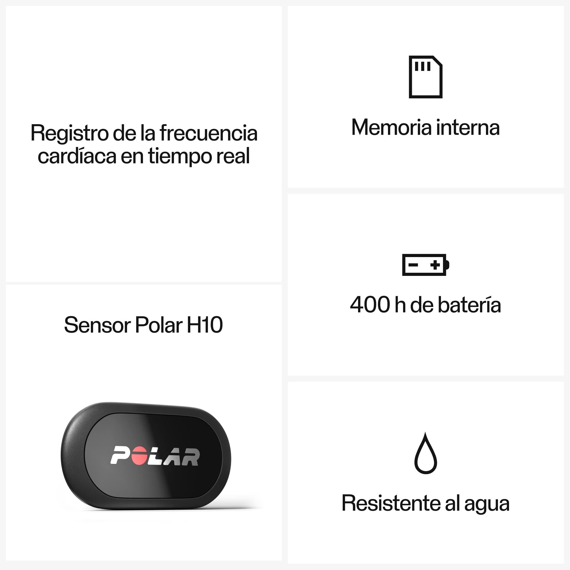 Polar H10 Equine - Sensor de Frecuencia Cardíaca para Caballos – Monitorización Avanzada para Equitación y Trote