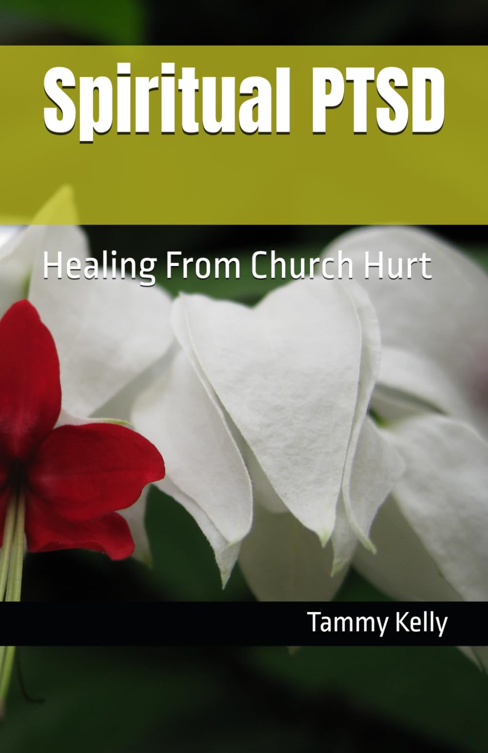 Spiritual PTSD: Healing From Church Hurt