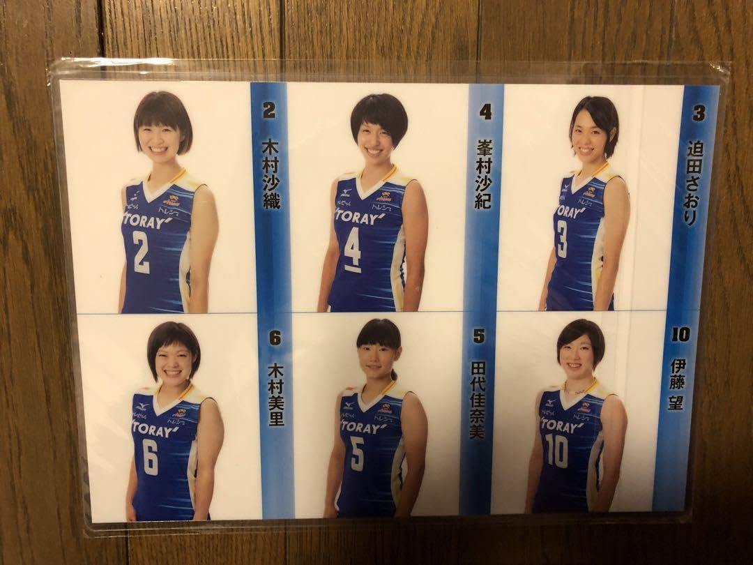 Amazon.co.jp: 火の鳥NIPPON Vリーグ 東レアローズ 下敷き 計3枚セット