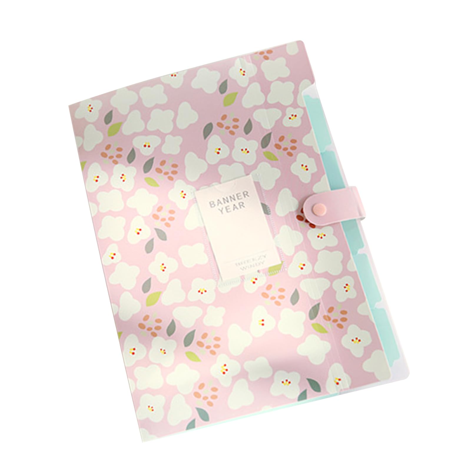 Jazuaiao Print File Folder 6 Pockets Expanding Document Organiser Sorting Folder Letter Size for School Supplies PP File Classification Folders