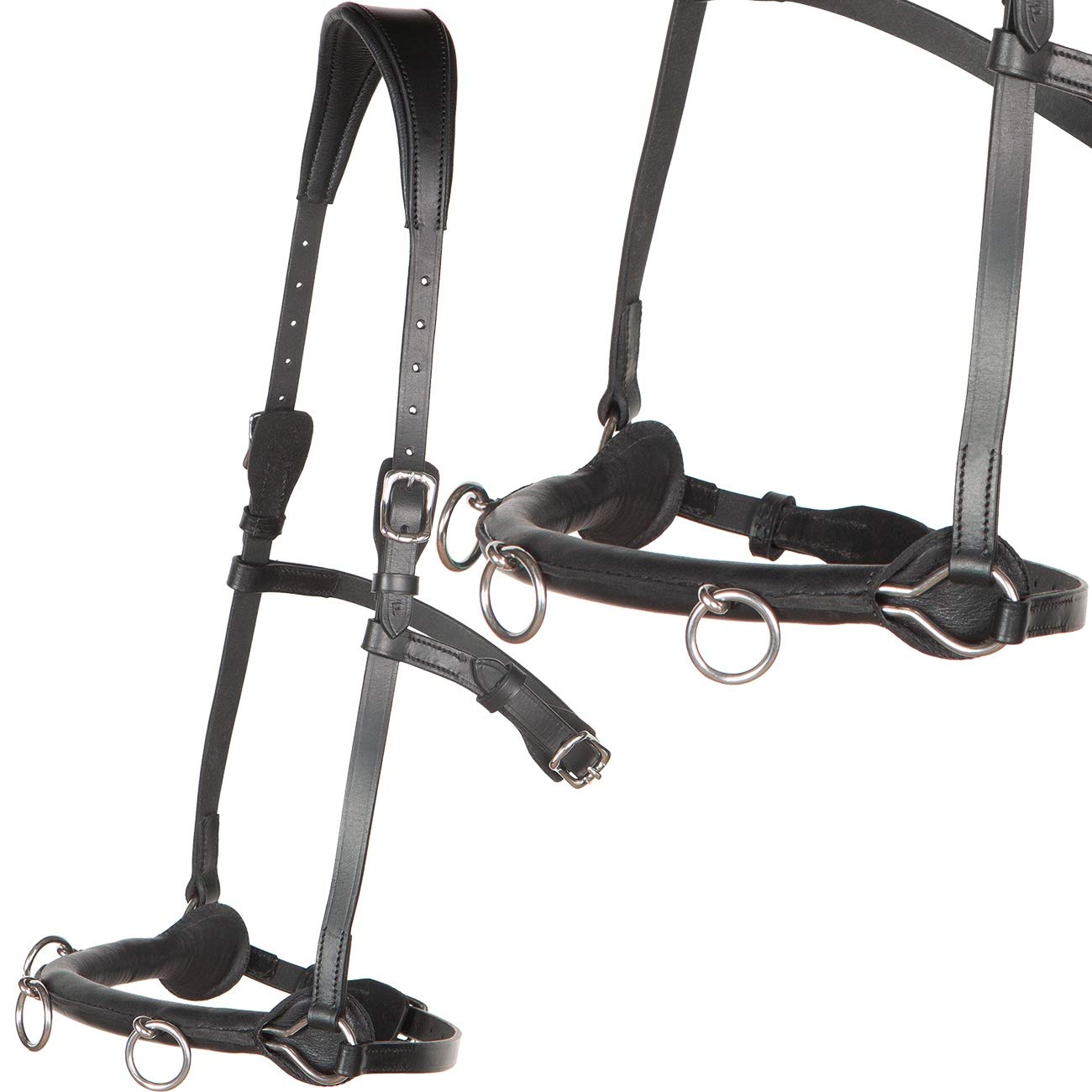 Französicher Profi Leder KAPPZAUM ~ Cavecon Cavesson ~ Schwarz WB VB Kappzaumgröße Warmblut/Full