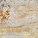 Nourison Celestial Modern Abstract Sealife 5'3