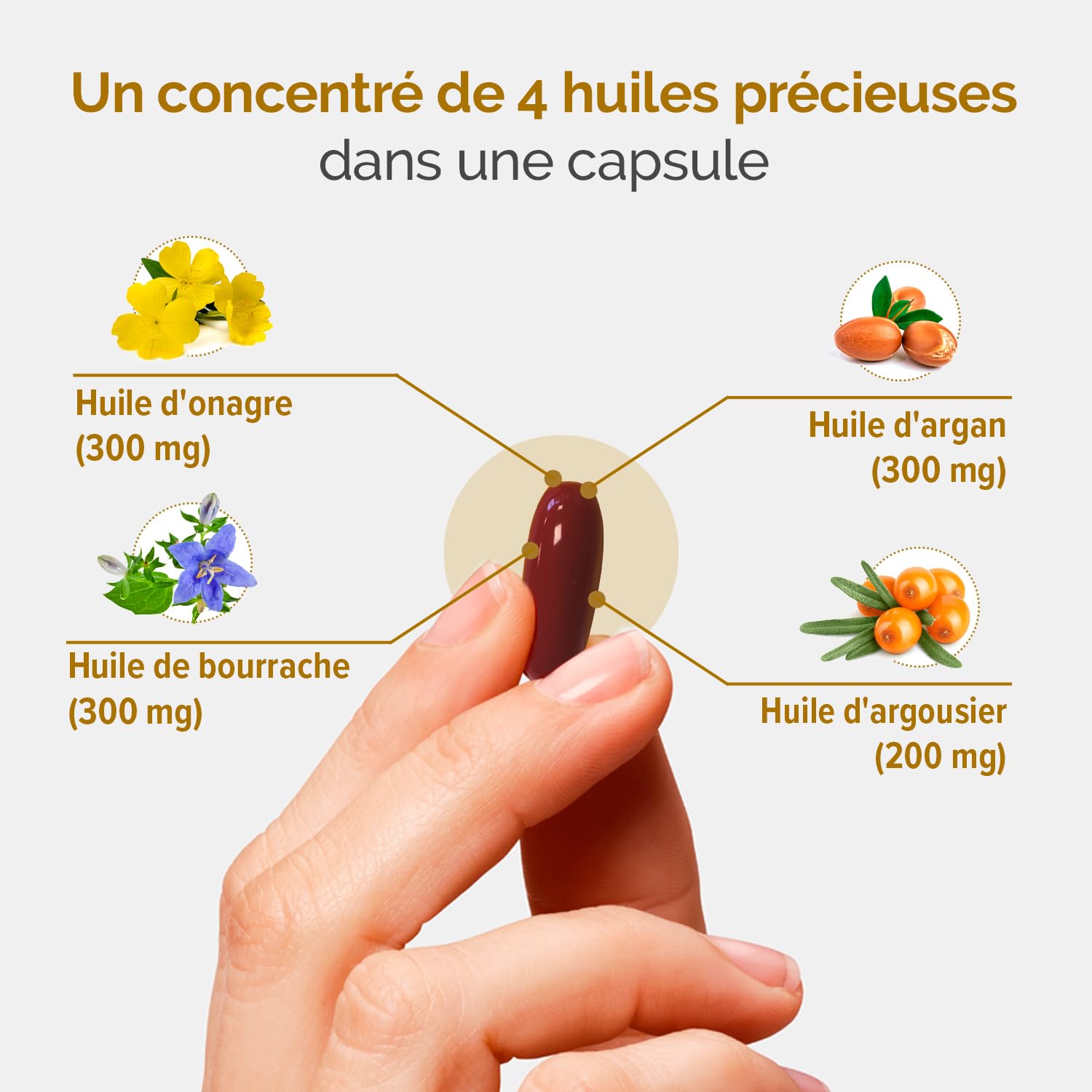 DERMASSENTIEL NUTRIDERM Lot de 3 | Nourrit & Hydrate | Argan Onagre Bourrache Argousier | Hautement concentré en Omegas 3,6,7,9 | Coenzyme Q10 + Vitamine E antioxydants | 90 Capsules | THERASCIENCE