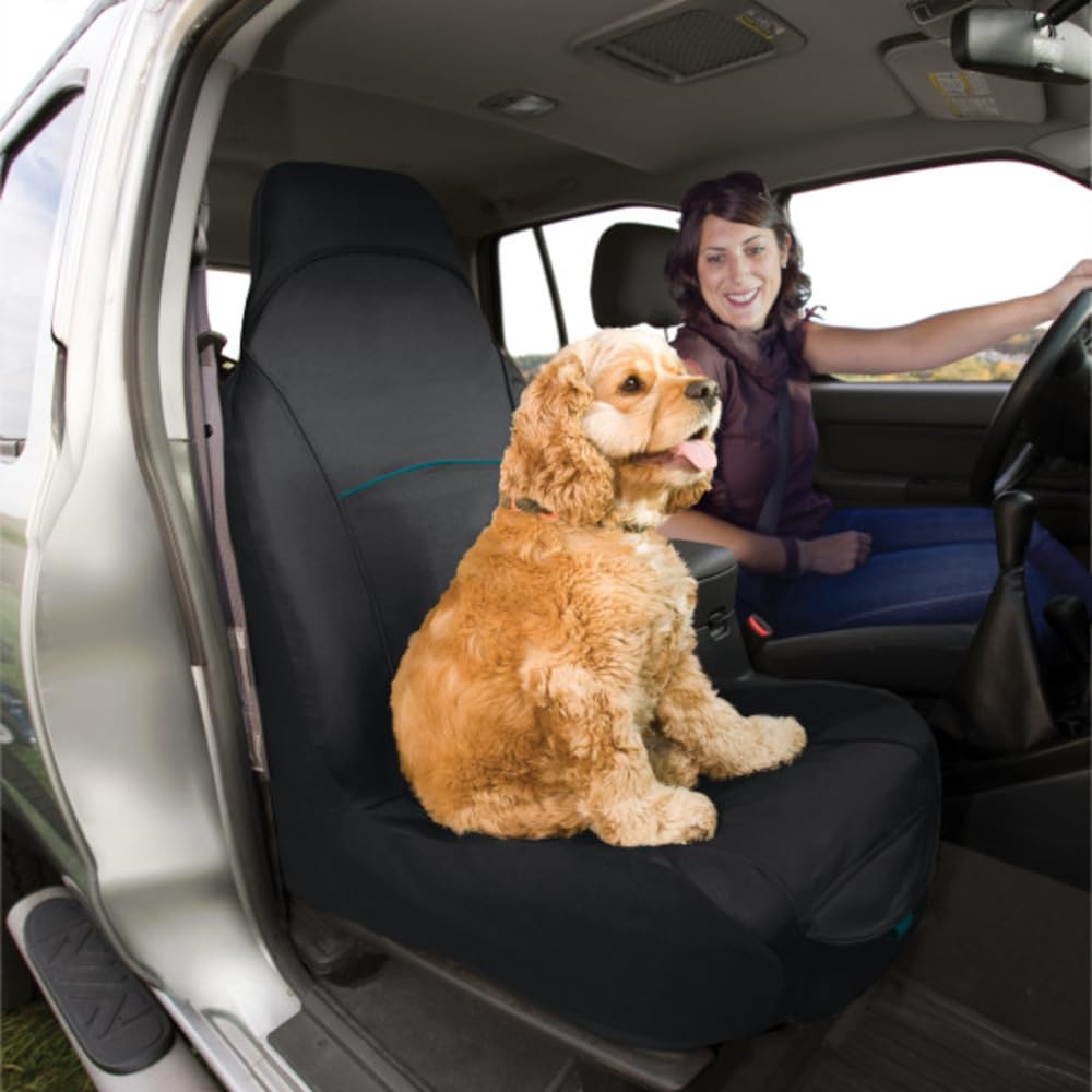 Kurgo Rover Funda de Asiento Delantero | Impermeable, Correas Ajustables, Antiarañazos, Bolsillo Grande