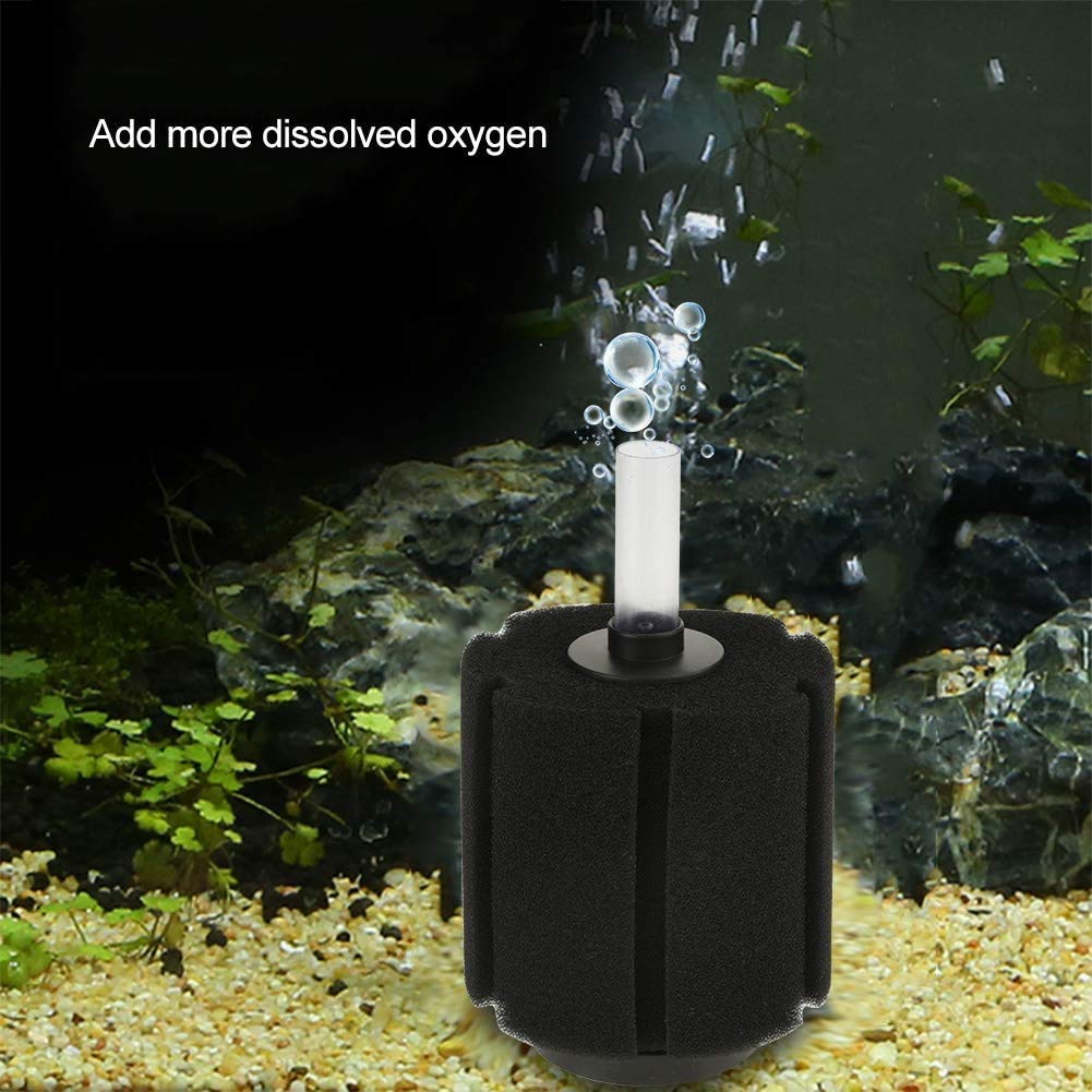 Ejoyous Filtre à Éponge Biochimique pour Aquarium, 4 Pièces, pour Poissons Crevettes Élevage