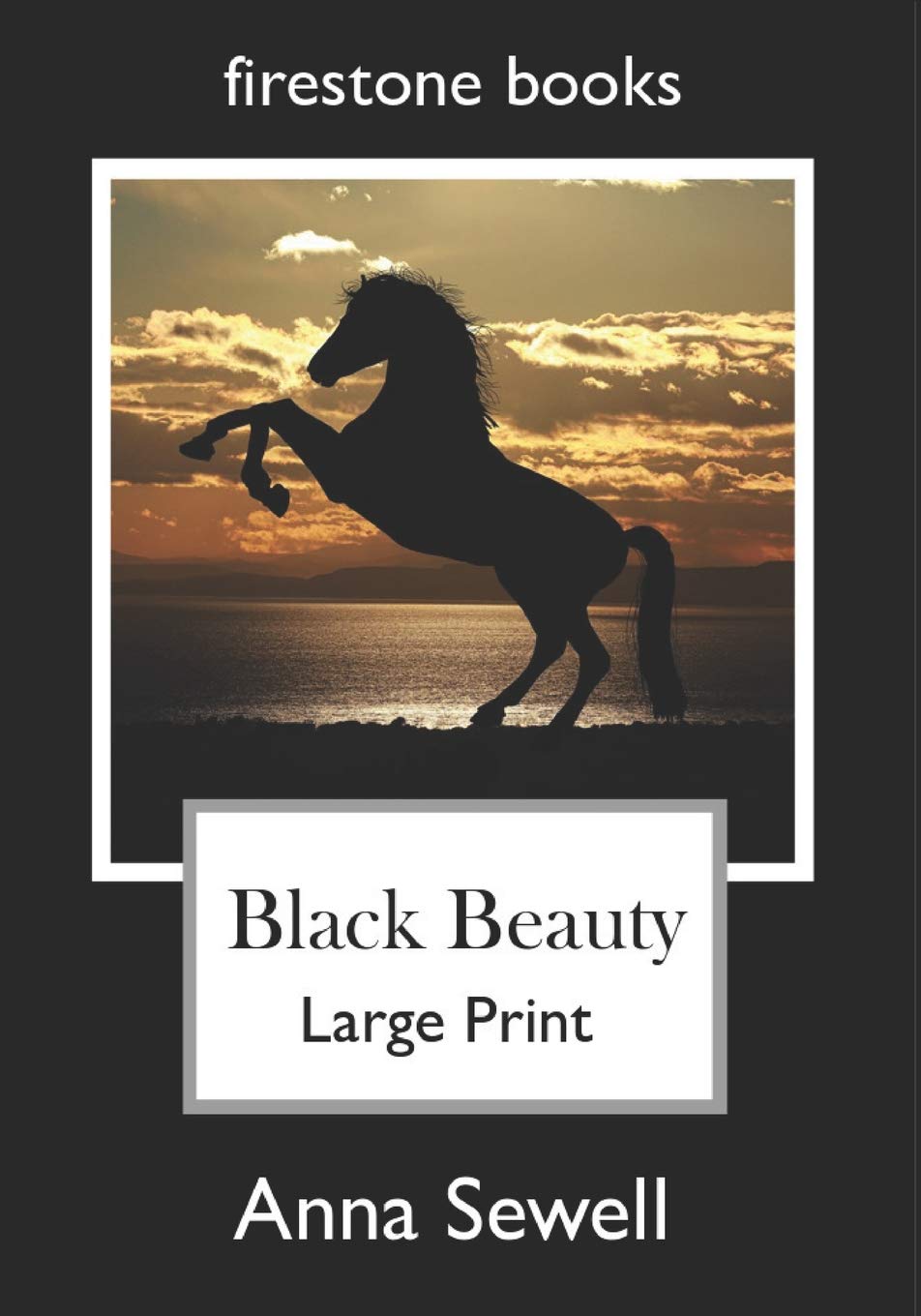 Black Beauty: Large Print