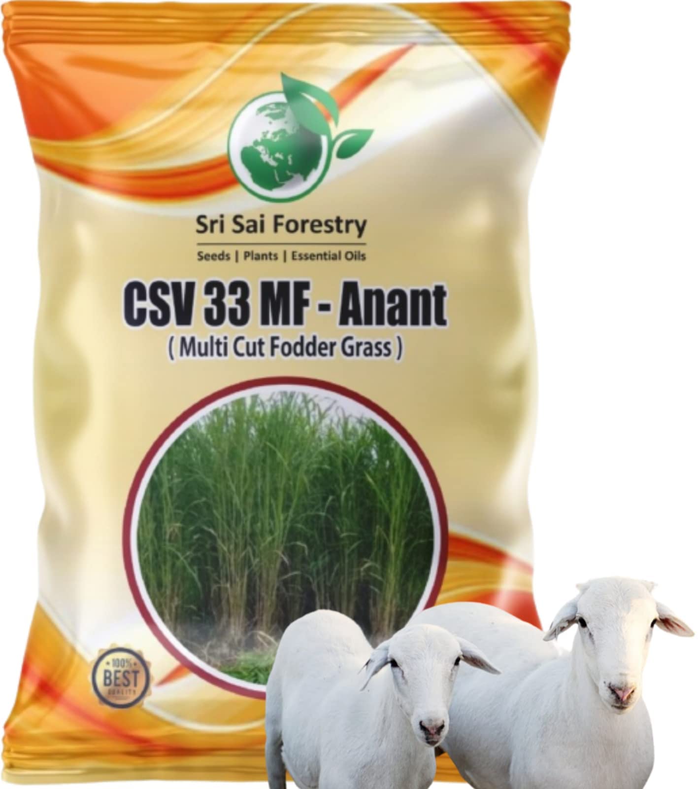 CSV 33 MF Fodder Sorghum Grass Seeds (Super COFS-33) High Yield, Multi Cut Grass 100G (B0C3SKJ3PN) Amazon Price History, Amazon Price Tracker
