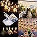 Ohbingo 30 Led Outdoor Christmas Lights Photo Clips String Lights USB Operated Fairy Lights Patio lights for Xmas, Bedroom, Indoor, Party, College Dorm Room, Ideal Gift 12ft Warm White