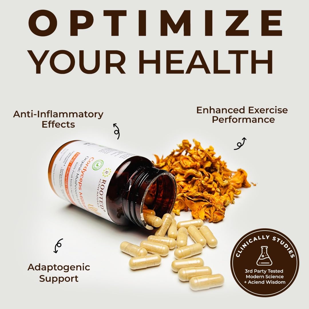 Rooted Active Naturals Organic Cordyceps Militaris Mushroom Extract Capsules, 500mg, 60 Count, Energy, Endurance, Performance (Pack of 2) - Image 4 thumbnail