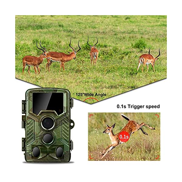 COOLIFE WiFi Bluetooth Wildkamera 4K 32 MP Abzugentfernung Bis 25 m Wildkamera mit Bewegungsmelder Nachtsicht 0,1s… – Bild 6