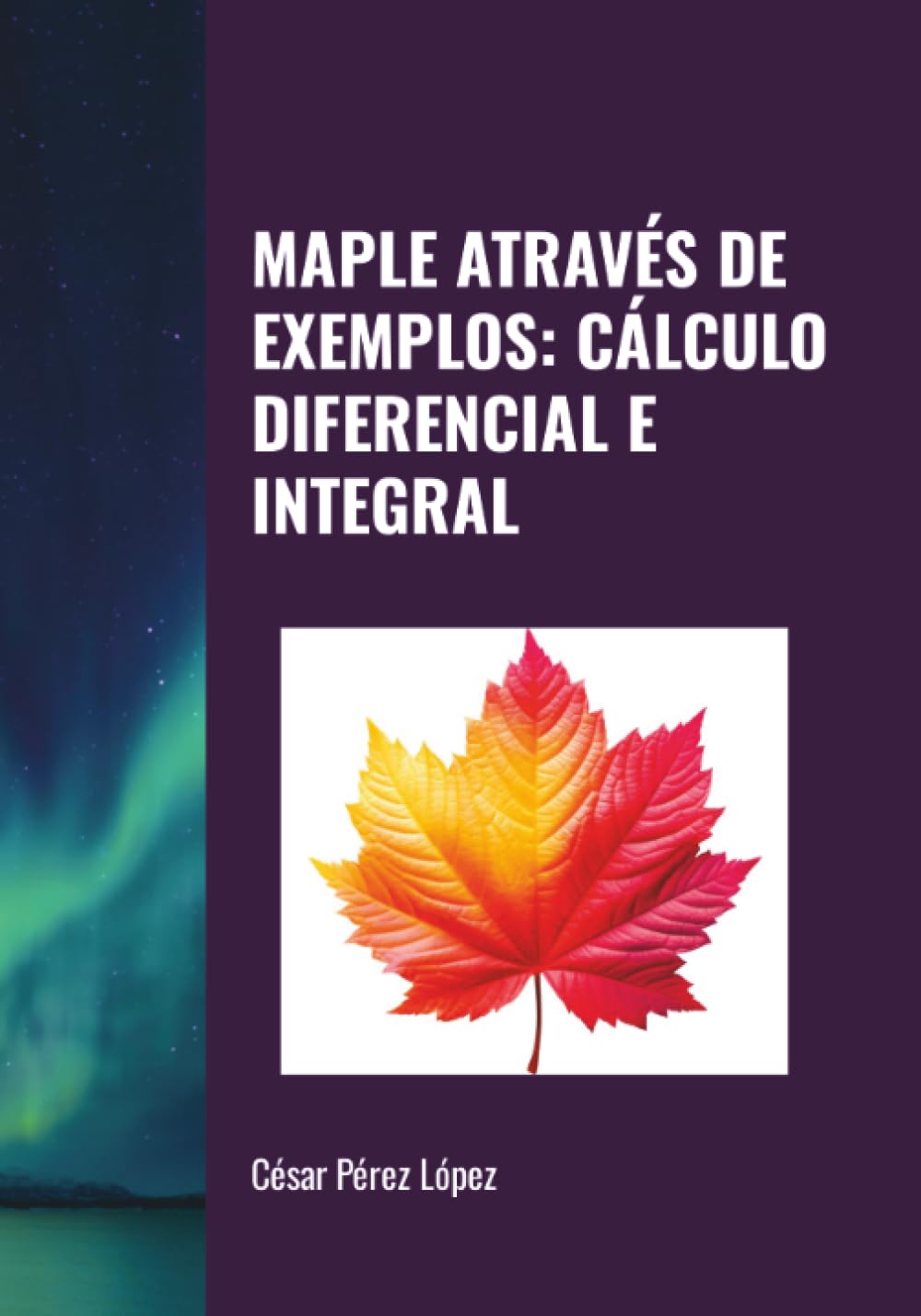 MAPLE ATRAVÉS DE EXEMPLOS: CÁLCULO DIFERENCIAL E INTEGRAL