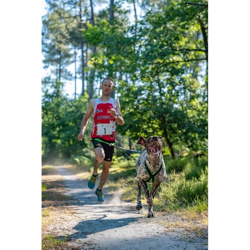 Universal-Hundegeschirr Inlandsis Polar Quest X-Back – Leicht, Ergonomisch und Robust – Canicross, Cani-MTB, Spaziergänge und Wanderungen (Hund 15kg)