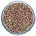 Snazaroo Face and Body Paint, 12ml, Glitter Dust, Red Gold