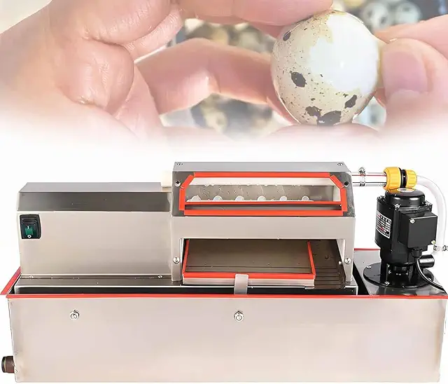 Electric Quail Egg Peeler Machine - 70kg/h Stainless Steel Sheller