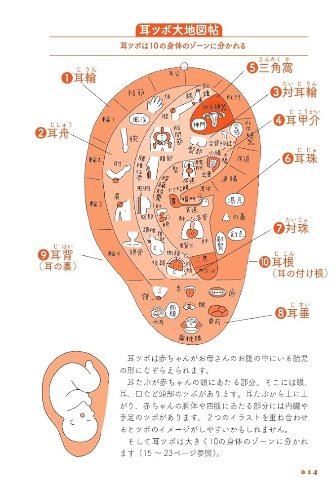 耳は不調と美容の救急箱 61341ZJlZVL._UF1000,1000_QL80_.jpg