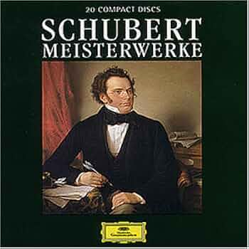 Amazon.com: Schubert: Meisterwerke 20 CD's: CDs y Vinilo