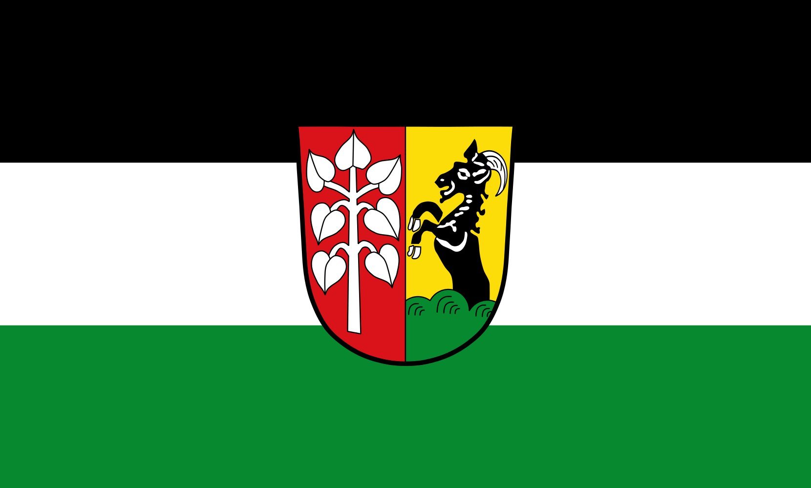 Drapeau paysage Schwifting grand pavillon horizontal de 1.35m² pour mât public