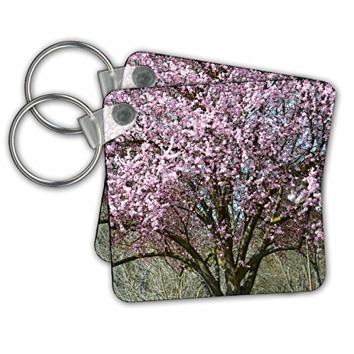 Cherry Blossom Tree - Key Chains, 2.25 x 2.25 inches, set of 2 (kc_179116_1)