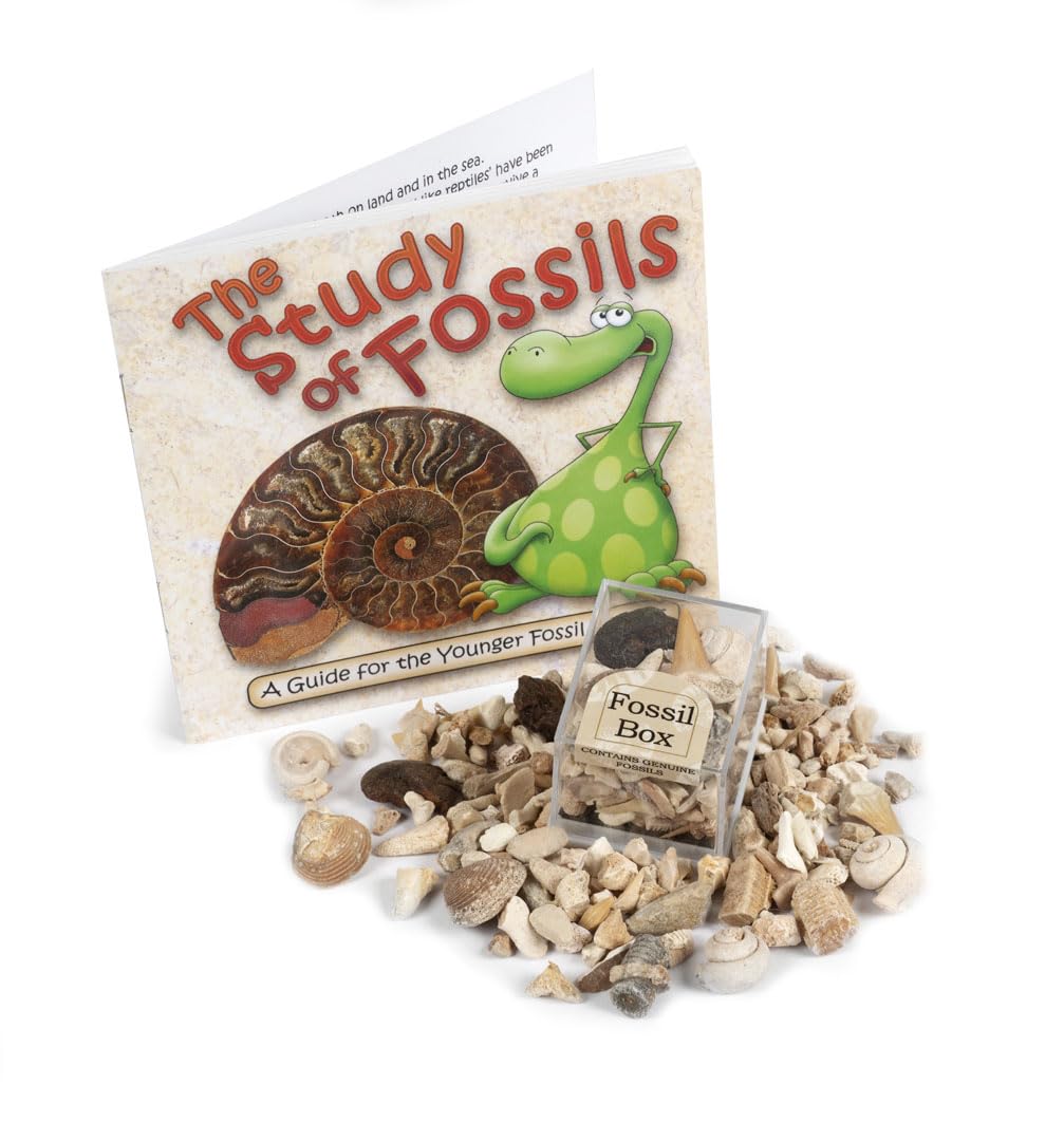 Mini Fossil Box – Genuine Fossil Collection with Study of Fossils Educational Booklet
