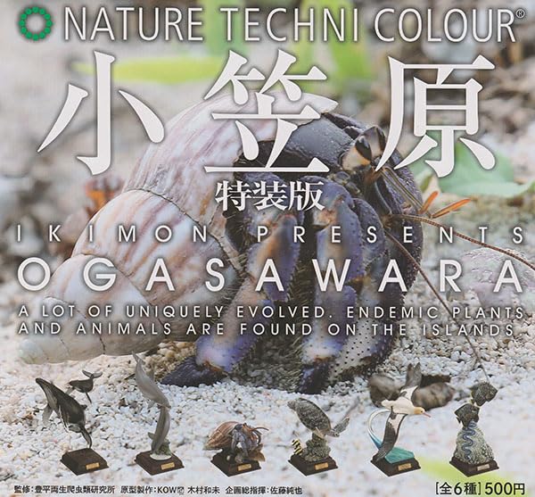 Amazon.co.jp: ネイチャーテクニカラー 小笠原 特装版 全6種セット
