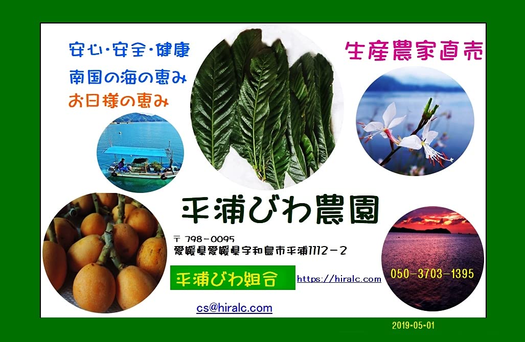 Amazon.co.jp: 信頼の平浦びわ組合 【びわ葉エキスつくり用乾燥葉