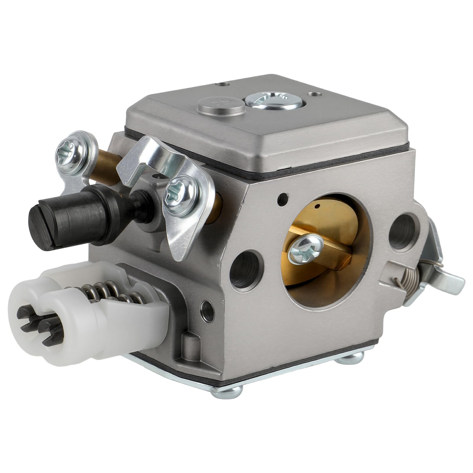 Hohenbergia sp. 357 × lh (black clone) Hohenbergia sp. 357 × lh black clone