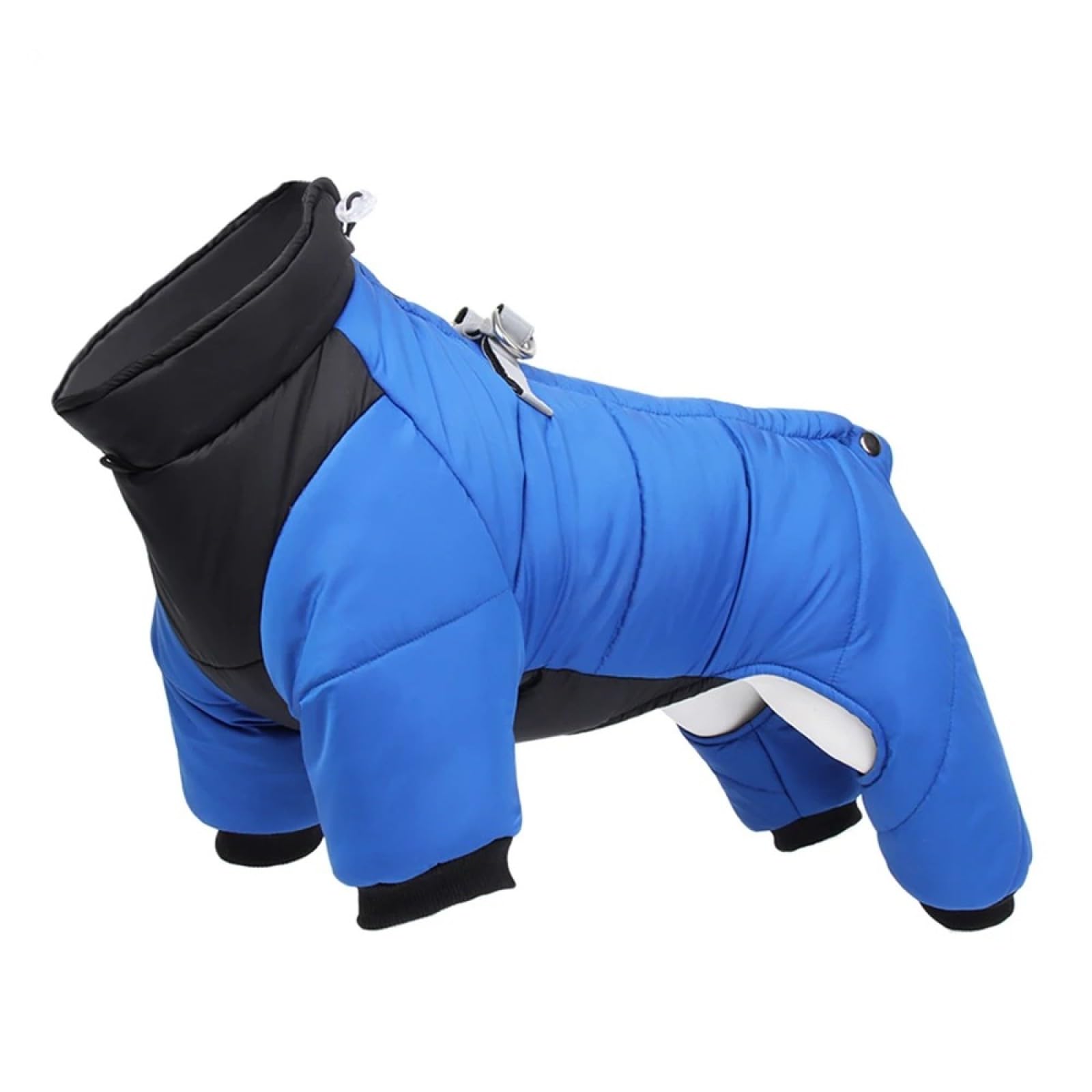 Veste d'hiver pour chien de qualité supérieure imperméable et zippée bleu 2XL