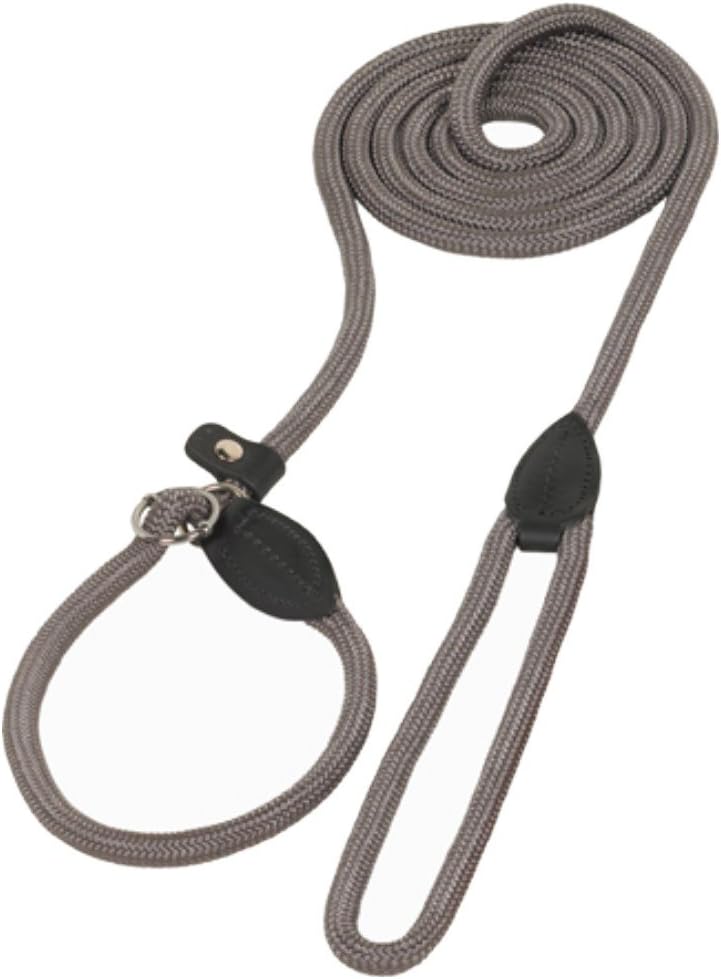 Nobby Fun Royal Retriever Dog Leash, 170 cm Length x 9 mm Width, Red