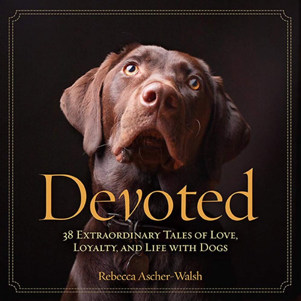National Geographic Devoted: 38 Extraordinary Tales of Love, Loyalty, and Life With Dogs