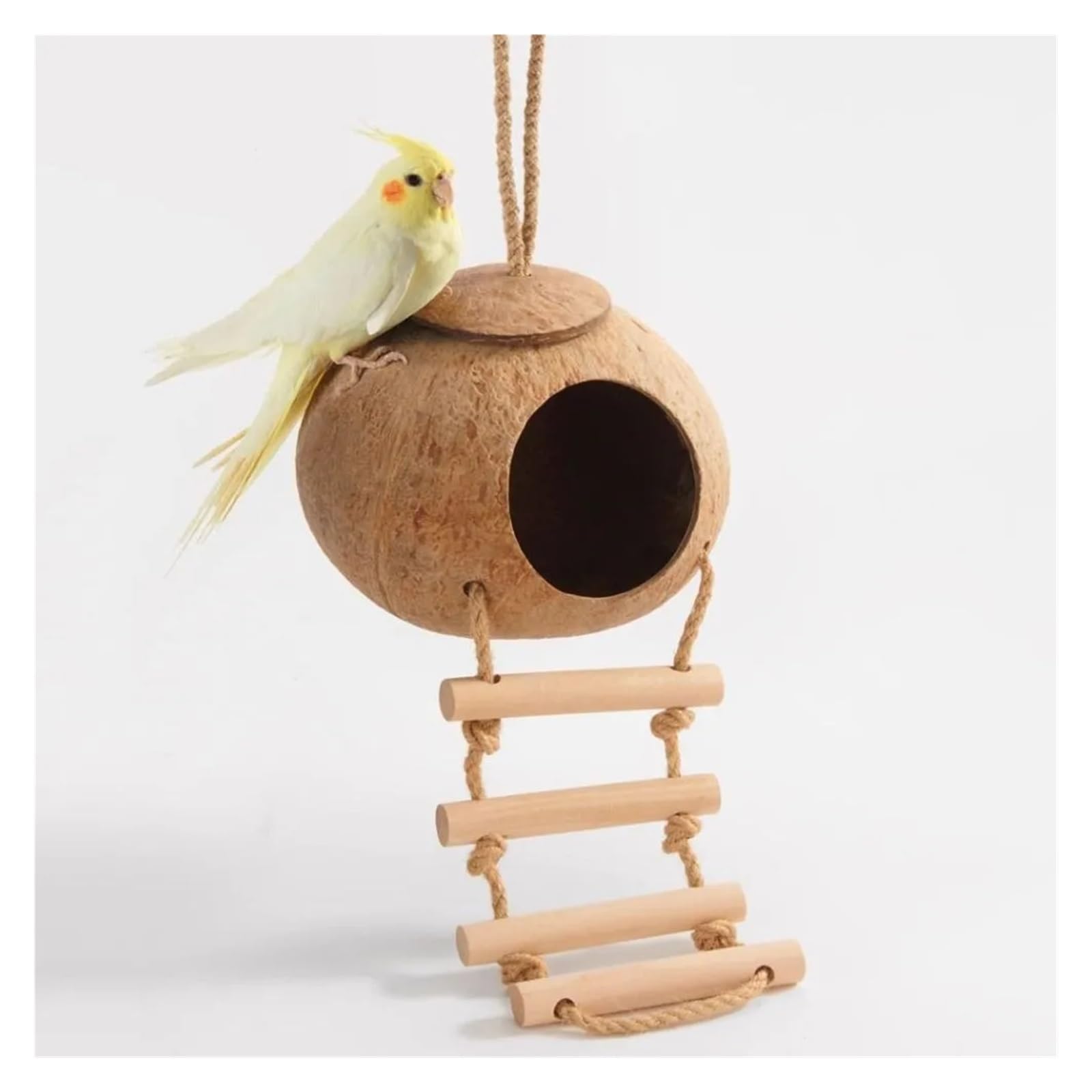 Nido de pájaro de Concha de Coco Jaula for pájaros de Coco Duradera y Transpirable con Escalera, escondite for Loros, Resistente a mordeduras hámster(-L-Rough Surface)