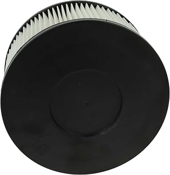 vhbw 1x Filter compatible with VONROC VC507DC, VC808AA Ash Vac - HEPA Filter, Allergy Filter