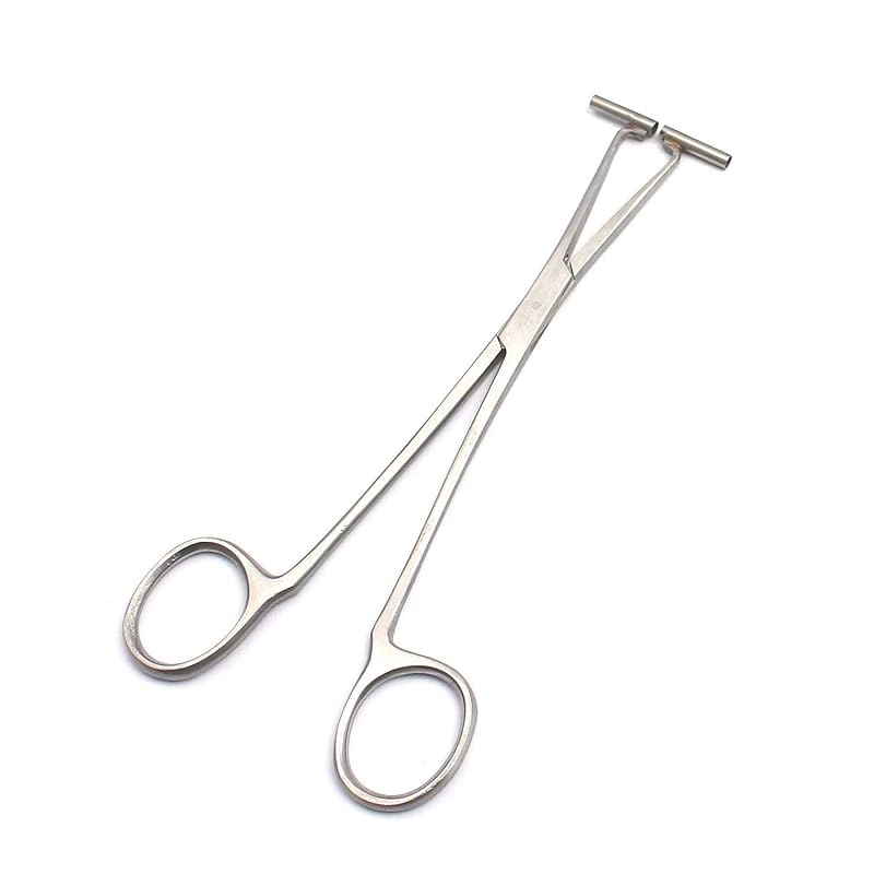 Pinça para piercing de septo DDP em aço inoxidável, 15,24 cm