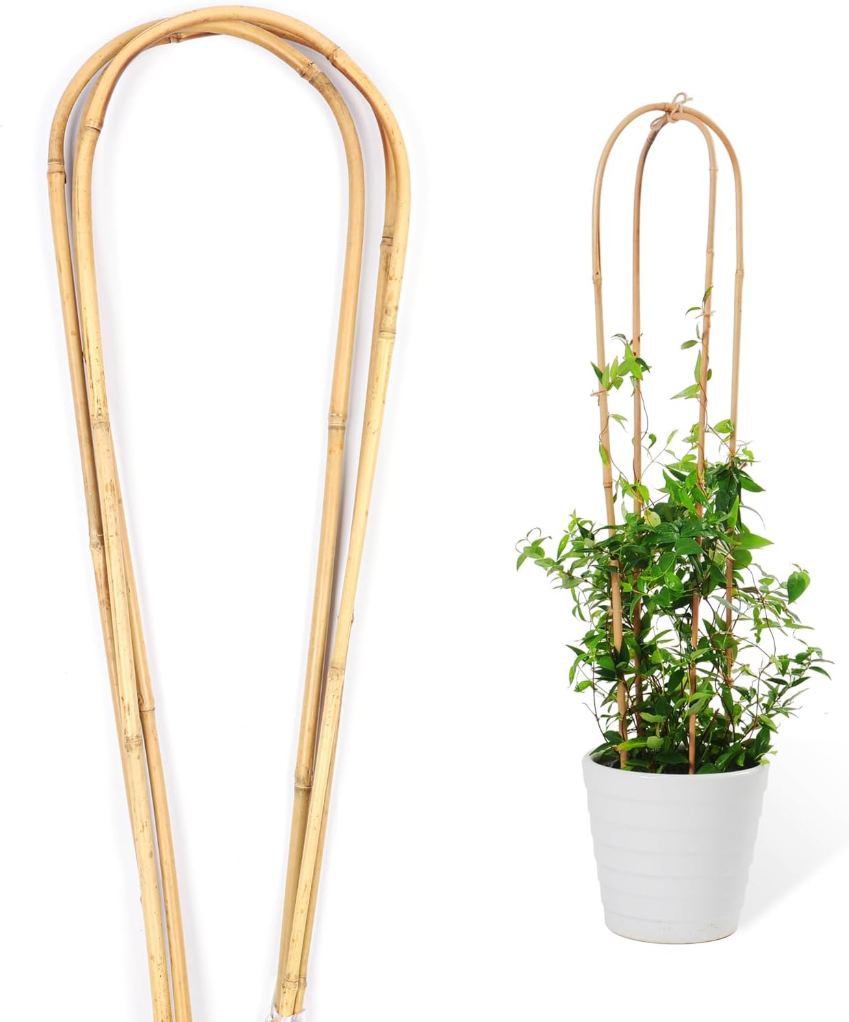 Cambaverd Natural Bamboo Trellis for Climbing Plants Indoor Outdoor, 3 Feet Garden Arch Trellis for Potted Plants, 3 Pack Large Plant Trellises