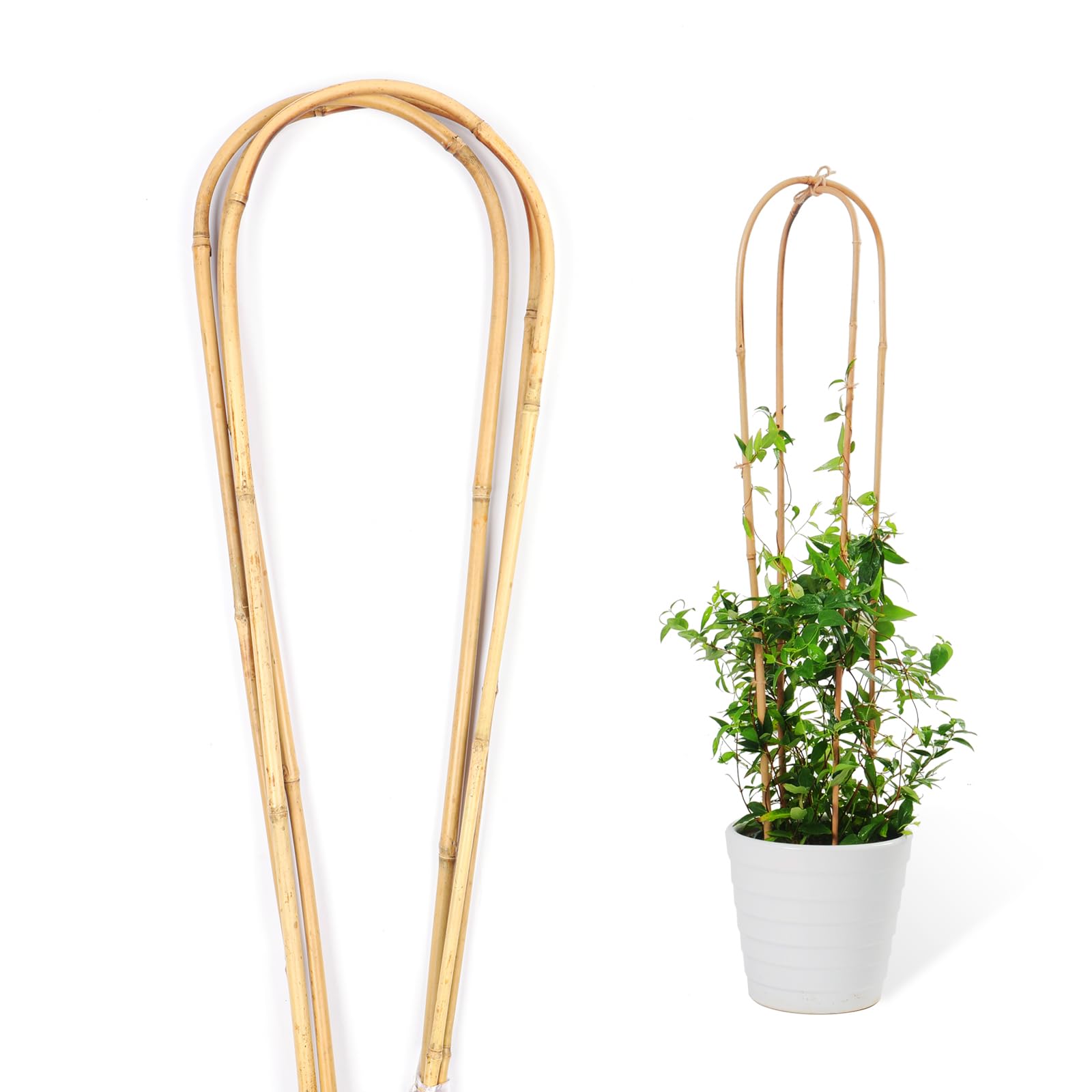 Cambaverd Natural Bamboo Plant Trellis U-Hoop