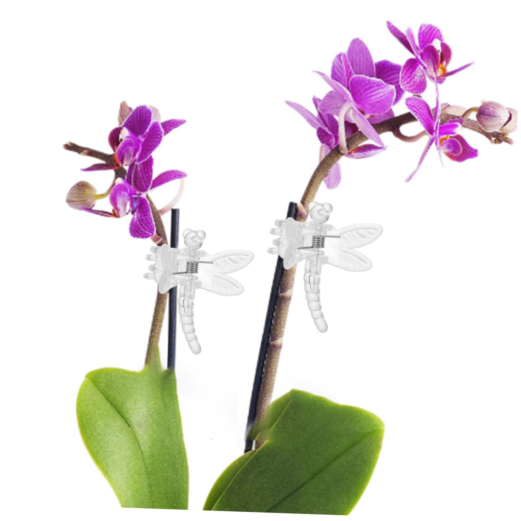 TOYANDONA 5 Sätze Transparente Pflanzenclips Multifunktionale Orchideen Clips Zur Unterstützung Von Pflanzenstängeln Für Weinreben Und Gemüse Gartenwerkzeug Für Sicheres 10 Stück * 5